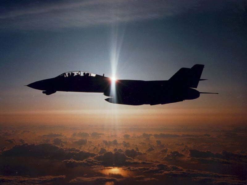 tomcat12.jpg (56462 bytes)
